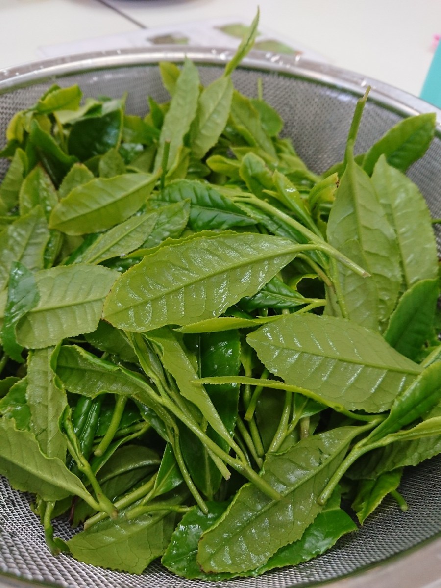 o1141152114173149029[2]