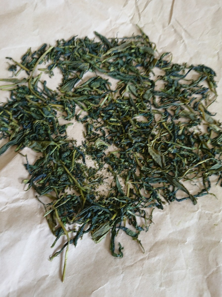 o1178157014173149030[2]