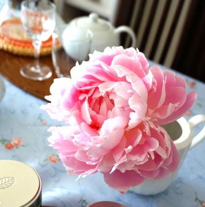 o0417042214222716011[2]