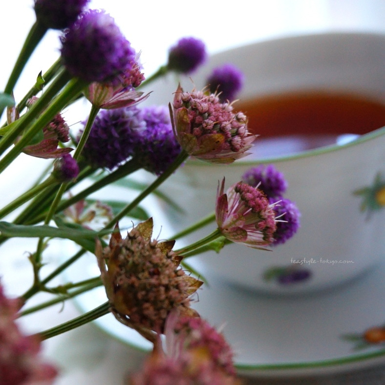 o0788078814274831135