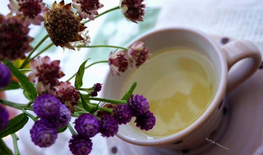 o0997058814274831686