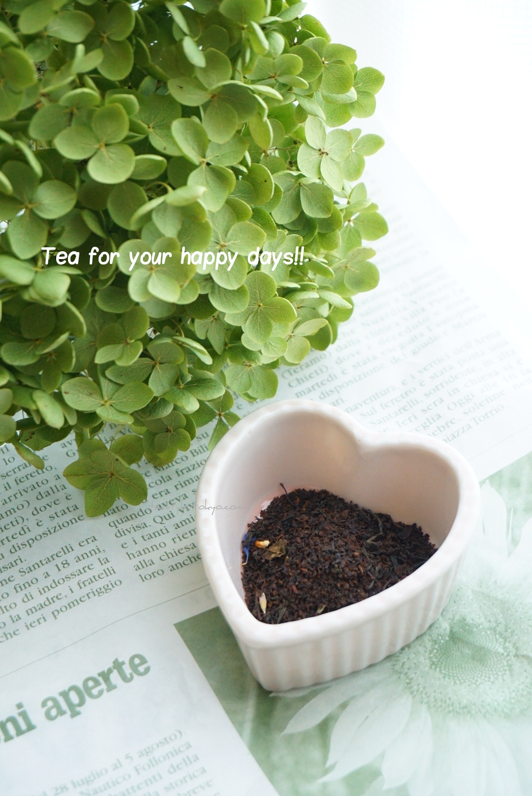 o1080161614269022128