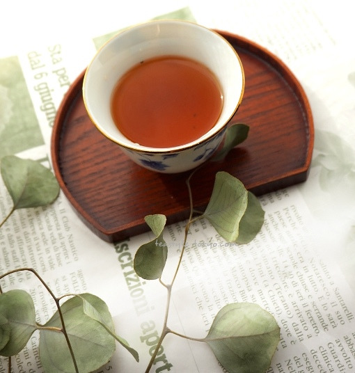 o0510053614292984736