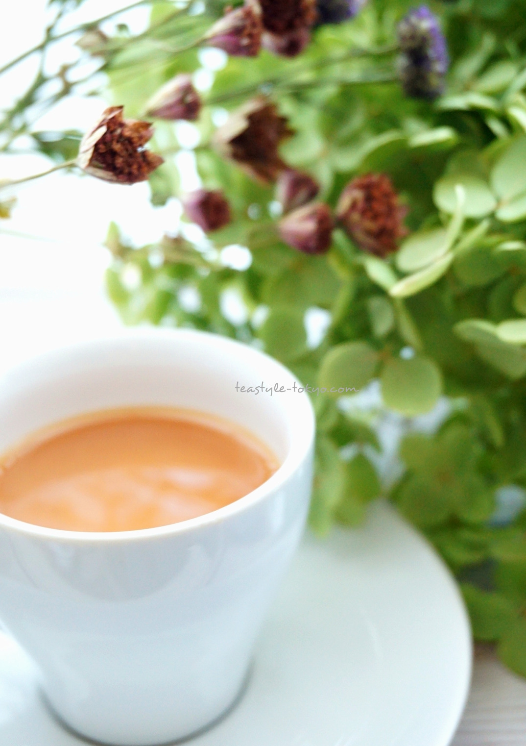 o1074152214282614095