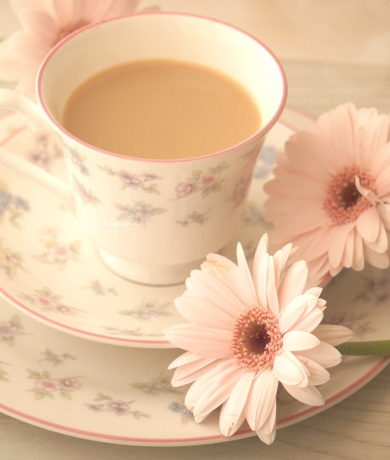 o0558065814307837440