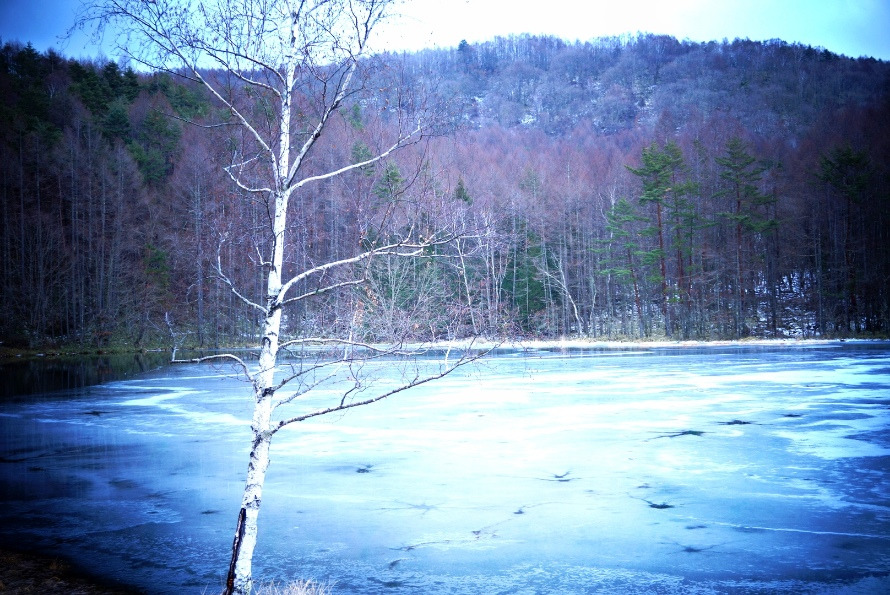 o0890059514327601470