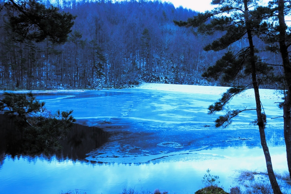 o0932062314327601472