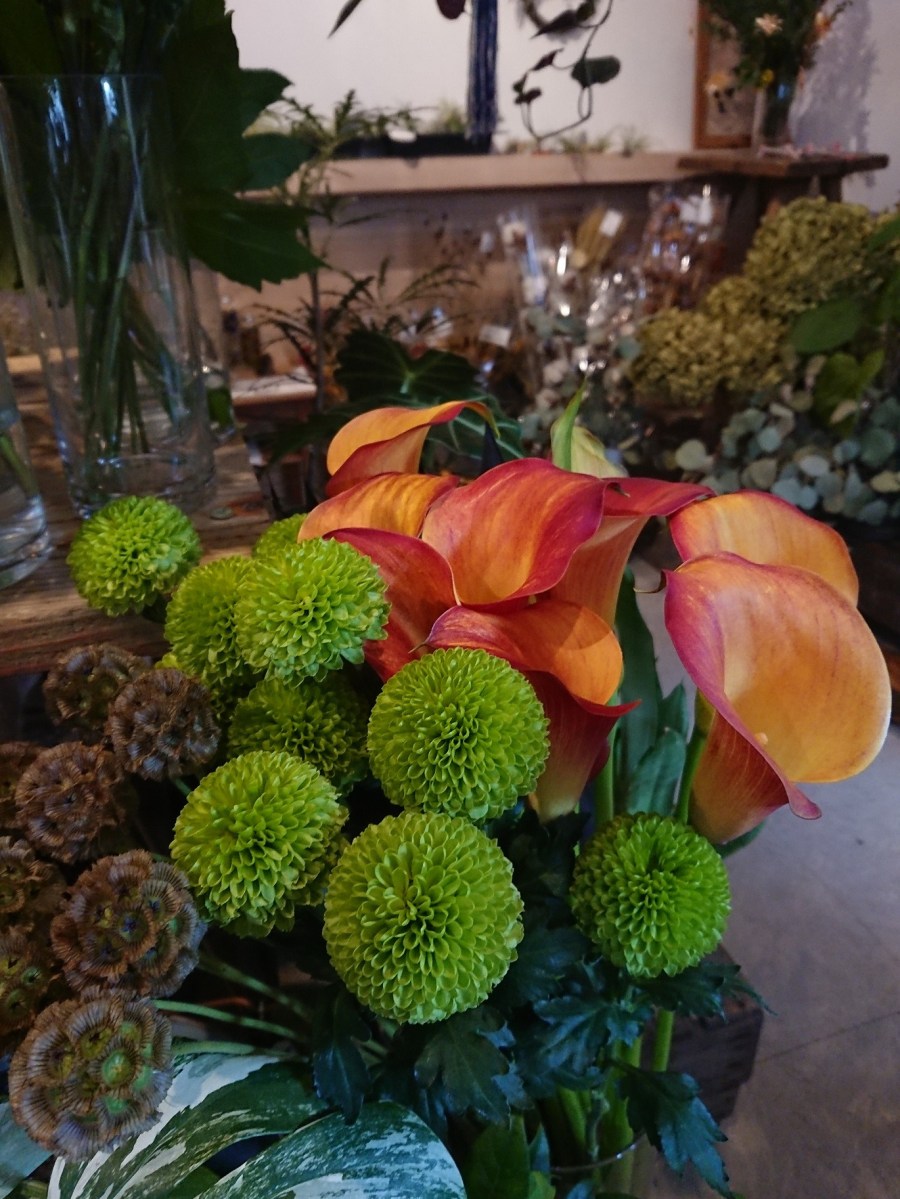 o1370182614315428859