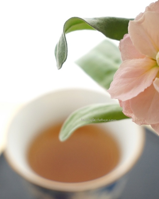 o0529066114339397166