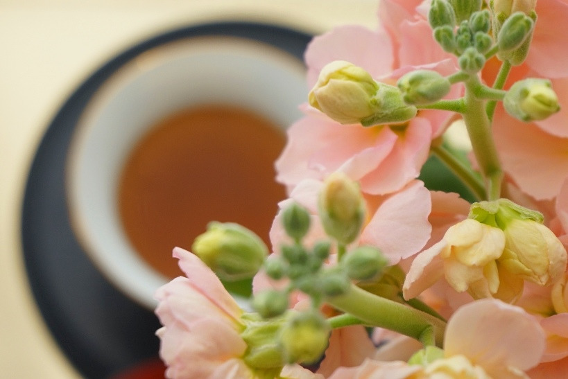 o0819054714339397171