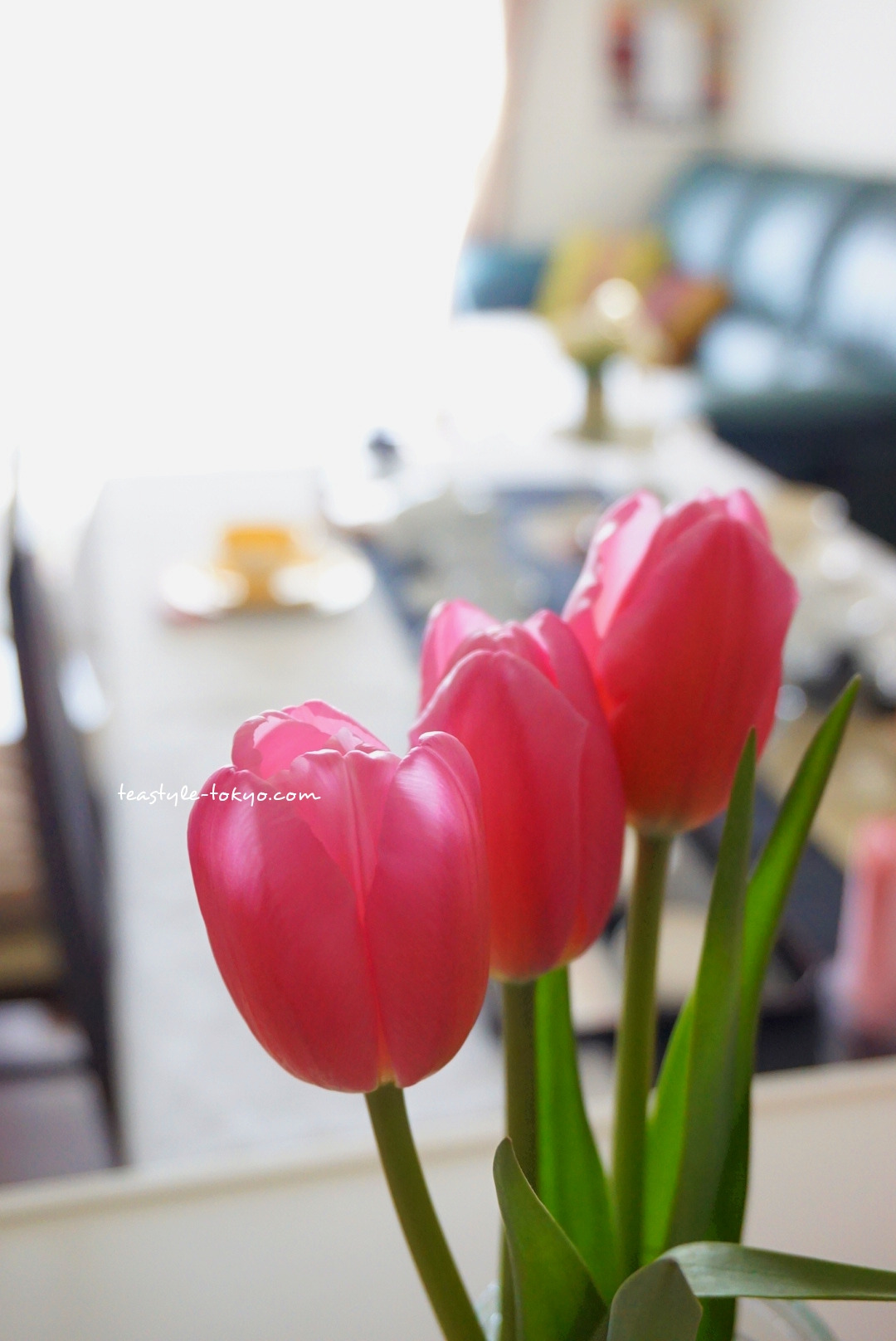 o1080161614351051154