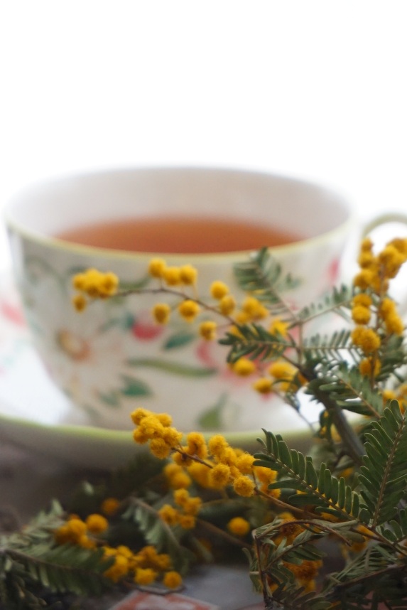 o0573085814368496104