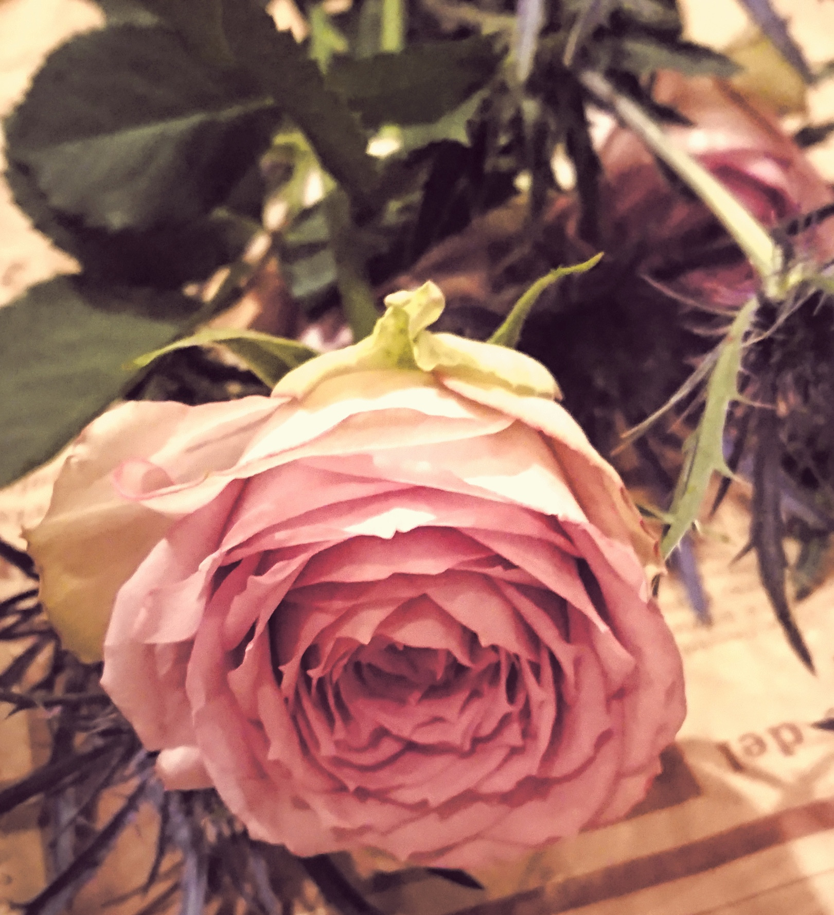 o1621177814397873937