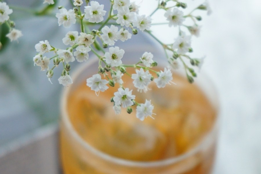 o1225081814411219948