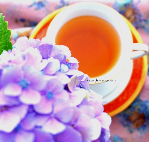 o0484046314480074409