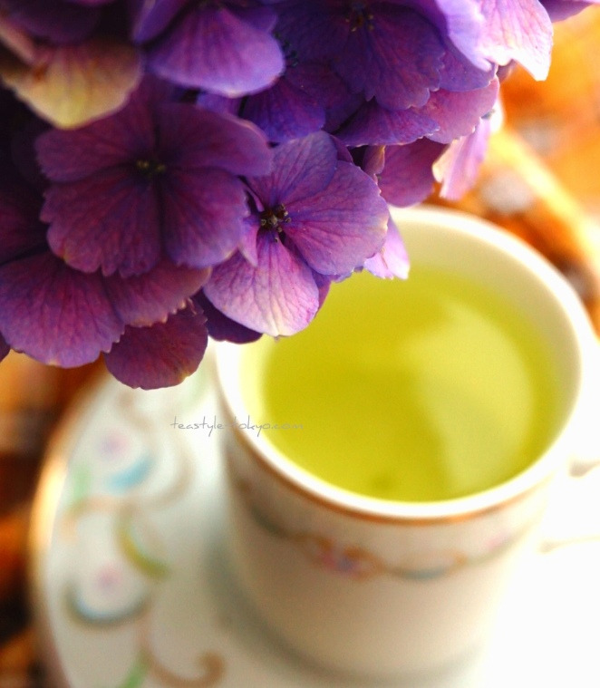 o0662075914480074188