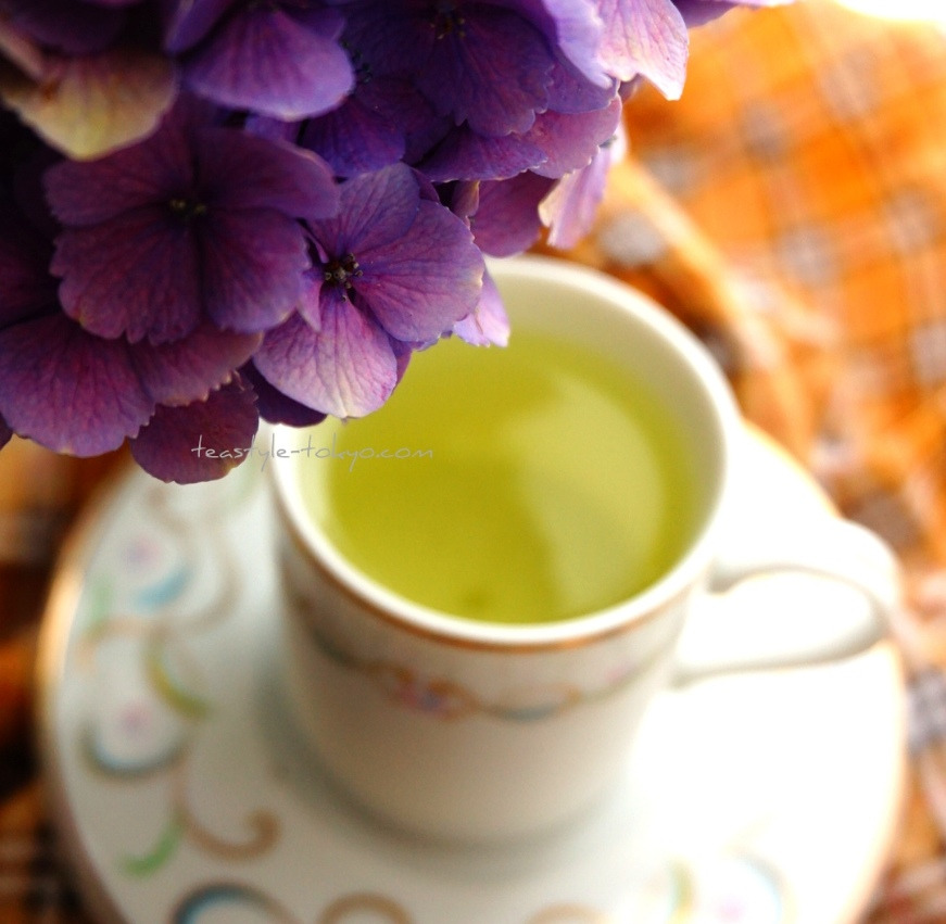 o0871085114480074189