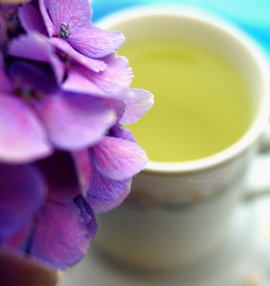 o0871092114480074190