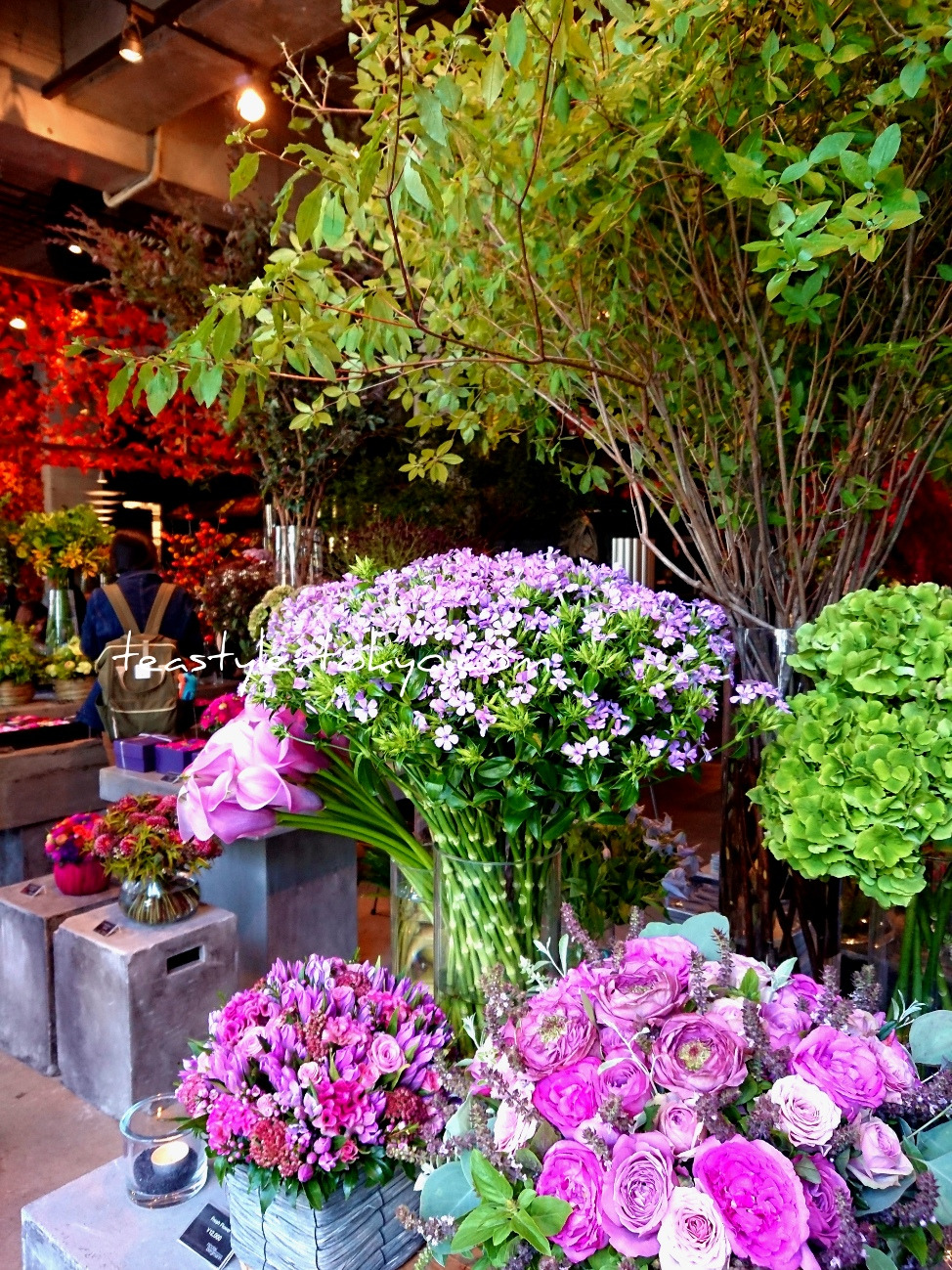 o0974129914581599651