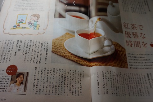 o0493032914631521949