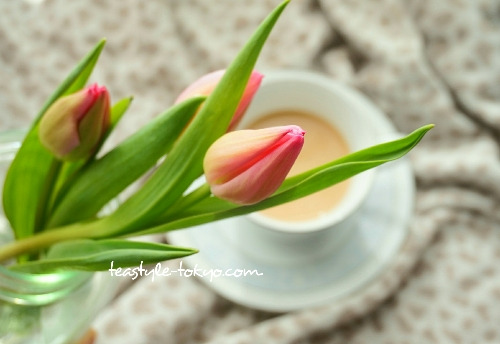 o0500034414885240346