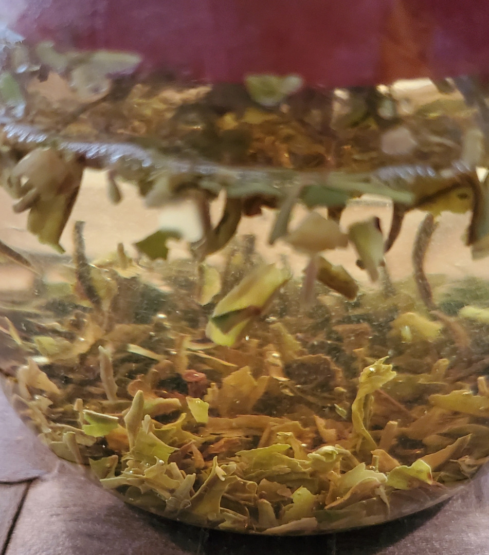 o0951108014899716959