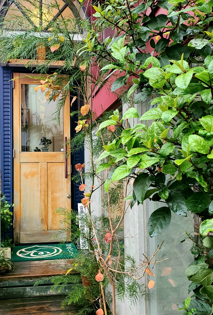 o0731108015061723767